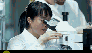 細木工板的研發