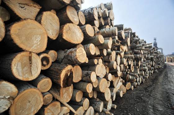 生態(tài)板原材料