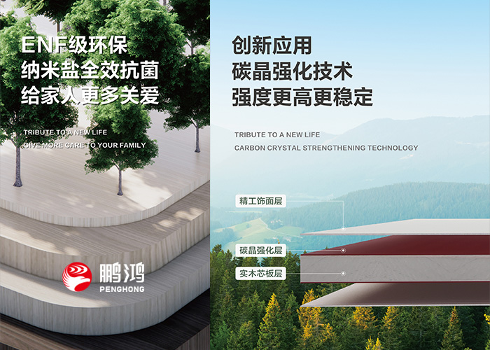 碳晶板是什么材質