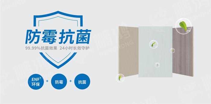 抗菌防霉木質裝飾板行業標準研討工作會圓滿召開