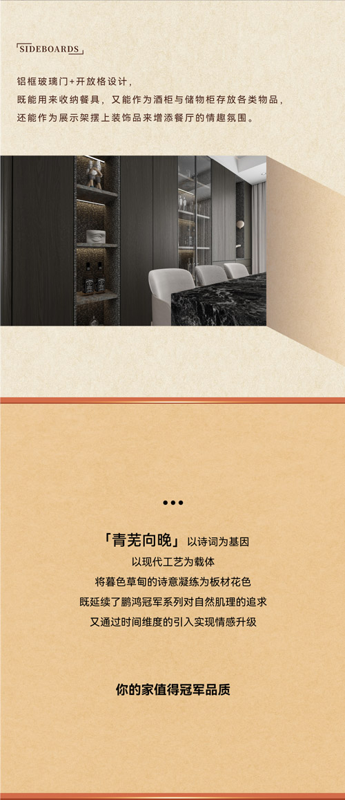 輕奢酒柜柜門設計